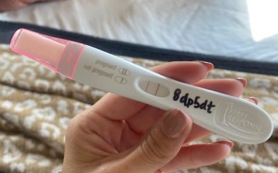 First Trimester Recap